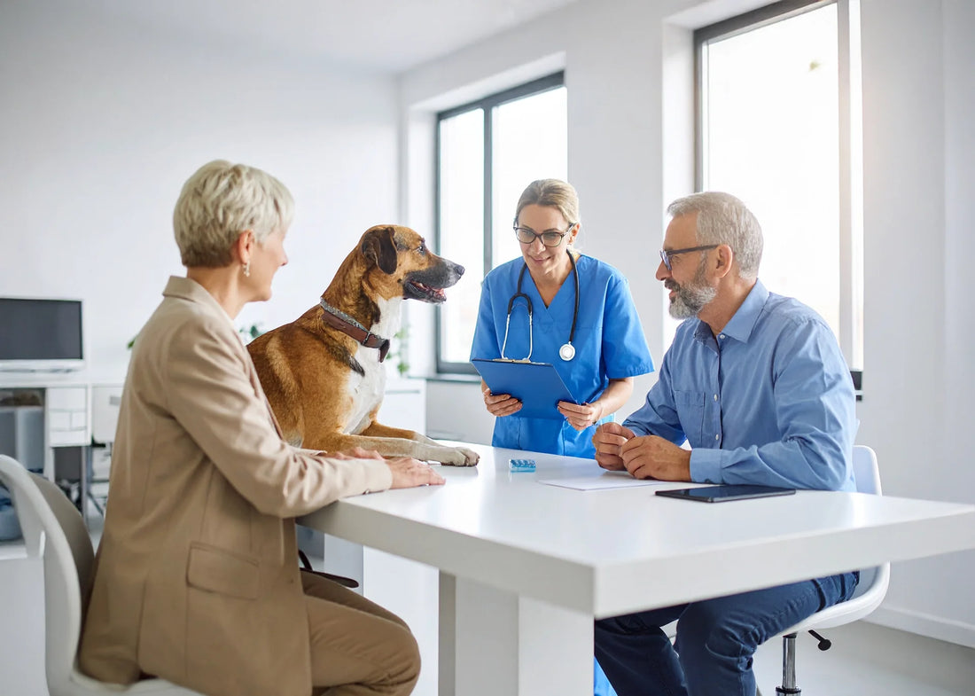 Hond bij dierenarts voor castratie, uitleg over voordelen en nadelen van castreren, gezonde hond en verantwoord eigenaarschap bij Hondenhoek