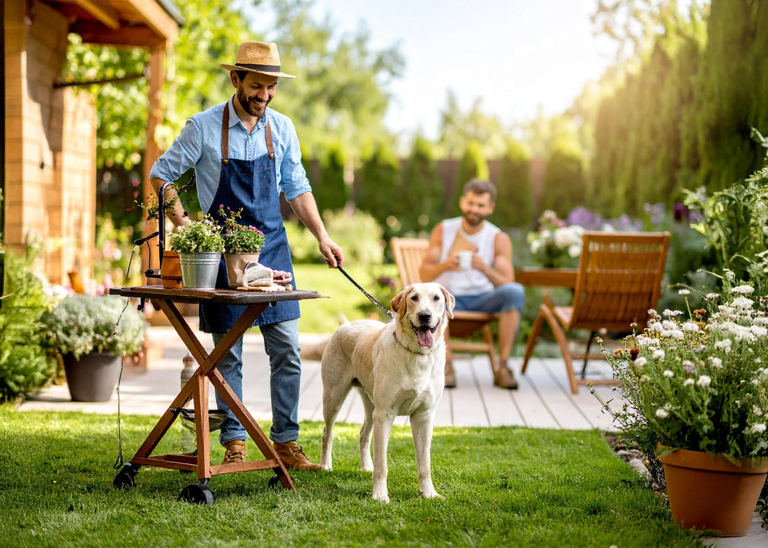 Hond wordt aan huis verzorgd door een mobiele groomer, terwijl op de achtergrond een knappe man ontspannen koffie drinkt in de tuin.