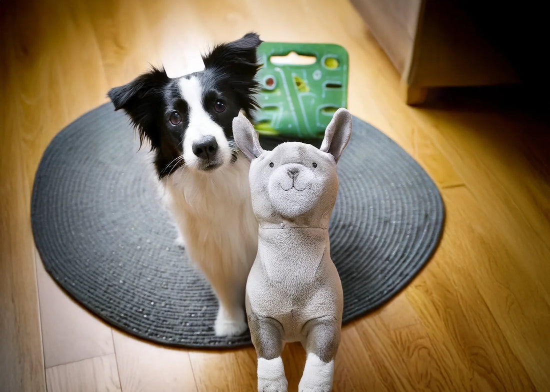 Golden retriever speelt met biologisch afbreekbaar hondenspeeltje in de tuin – Hondenhoek Blog van online hondenwinkel met tips van Anny Shah en Rian de Boer over duurzame hondenaccessoires 2025