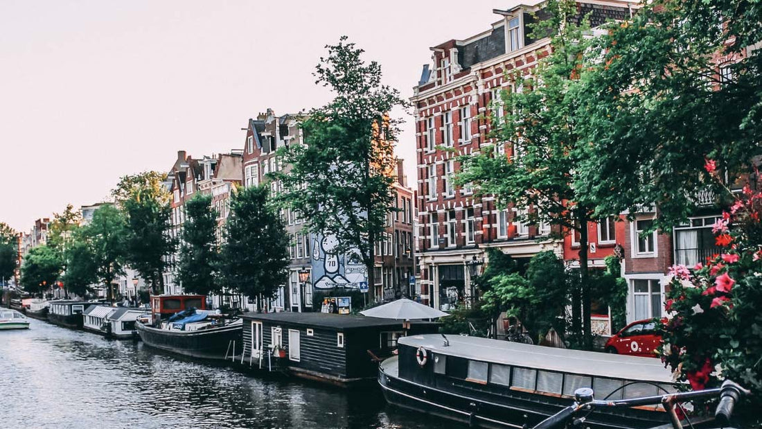 Op vakantie met de hond: in Nederland! - Hondenhoek Hondenwinkel