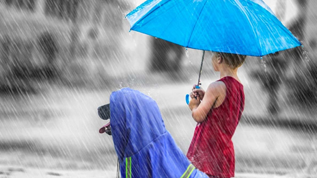 Bescherm Honden Tijdens Herfst - Regenkleding voor Hond - Hondenhoek