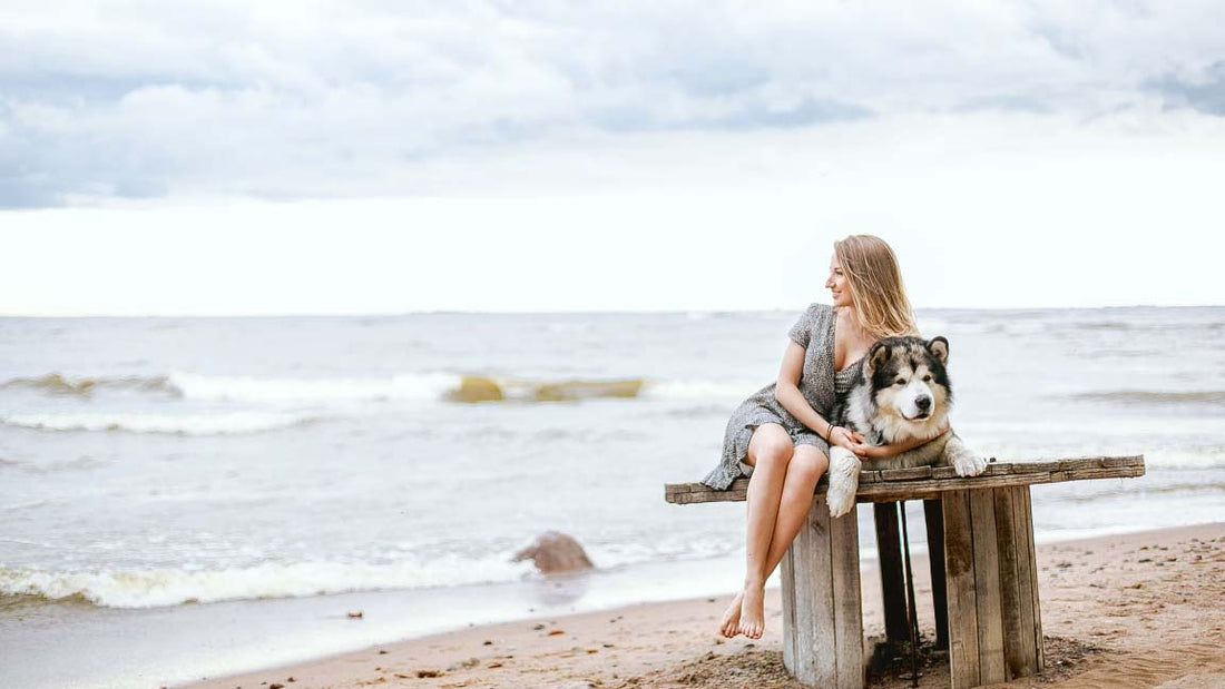 Hond online kopen husky strand dame