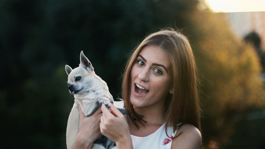 Dame hondenhoek woef boetiek medihoek apotheek honden