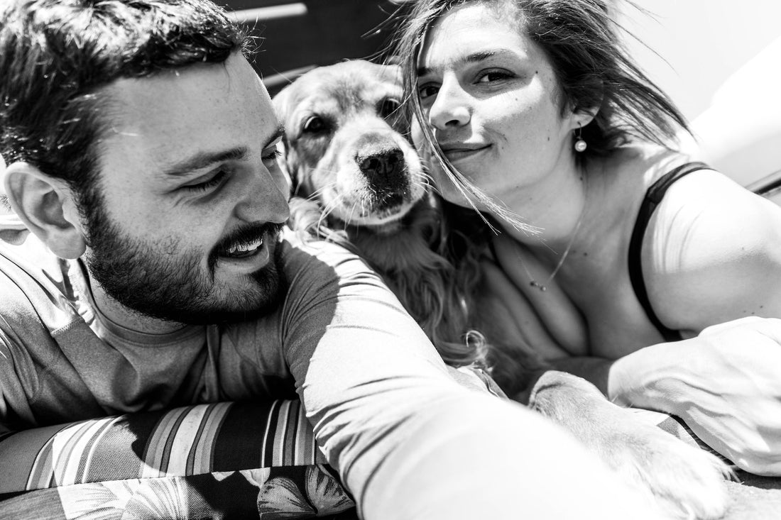 Selfies met honden: Meer dan met partner - WOEF Blog - WOEF Boetiek