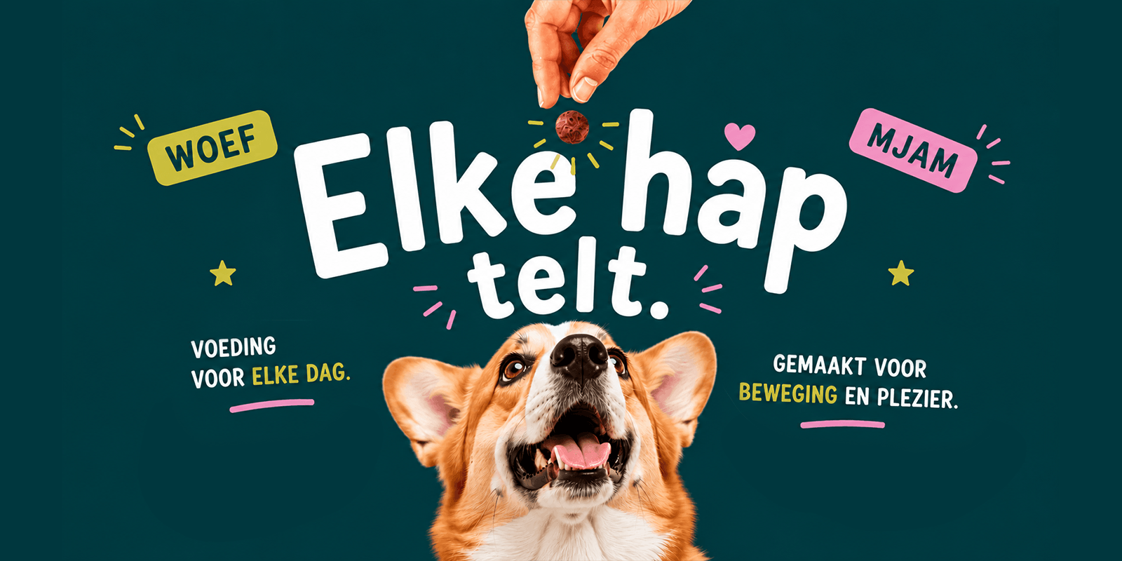 Hondenhoek promotie