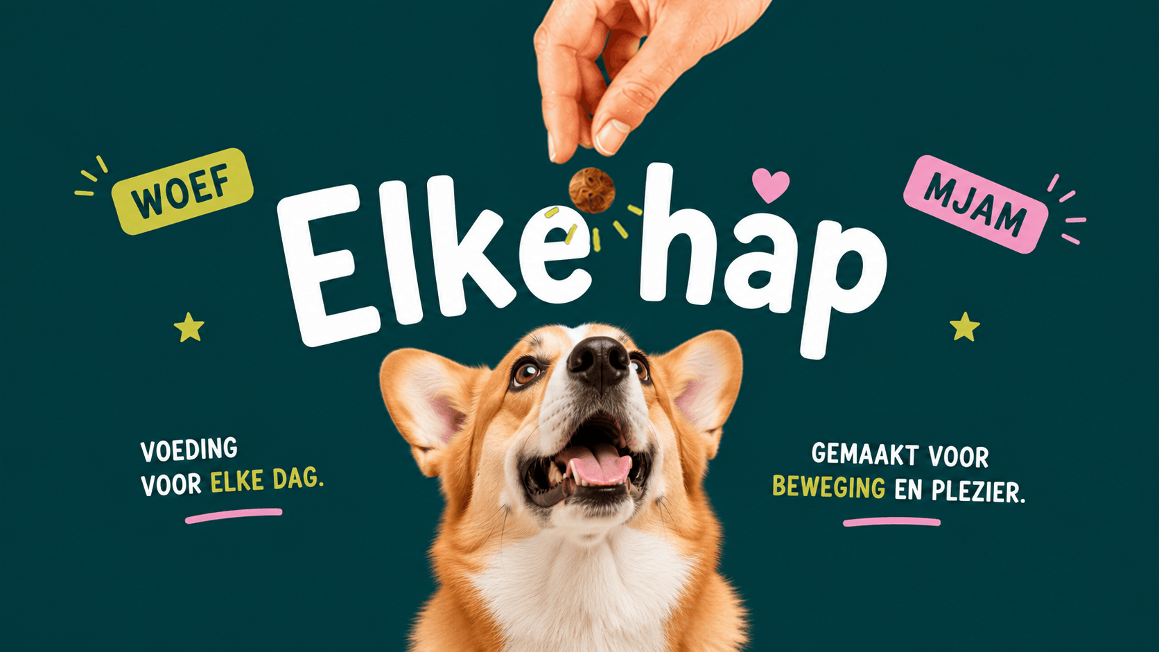 Hondenhoek promotie
