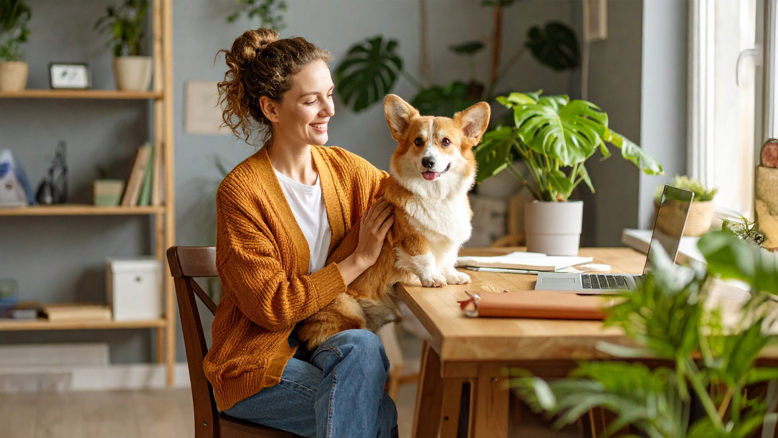 Hondenhoek Blog juni 2025 – tips voor hondenverzorging, graanvrij hondenvoer, zomerse hondenspeeltjes, natuurlijke snacks, puppytraining, senior hondenvoeding, verkoelende accessoires en meer inspiratie voor hondenliefhebbers.