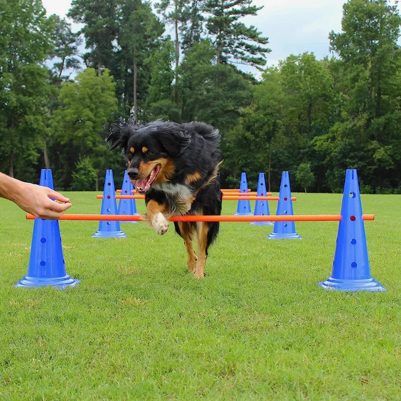 PawsInMotion Training Obstakels - Mix van Spel en Oefening - Honden