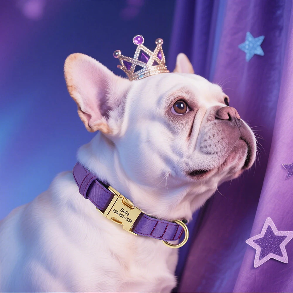 Waterdichte nylon hondenhalsband in blauw voor kleine tot middelgrote honden