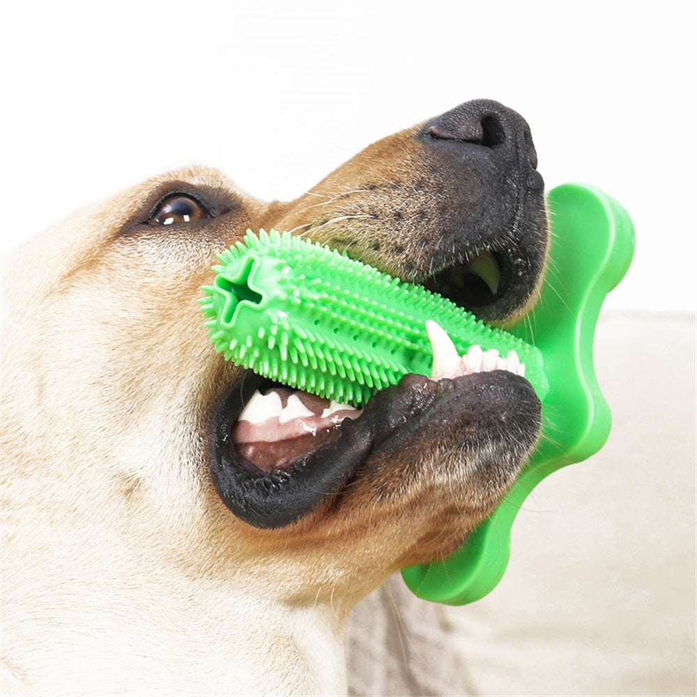 PETZZ™ Gebitsreiniging Stick