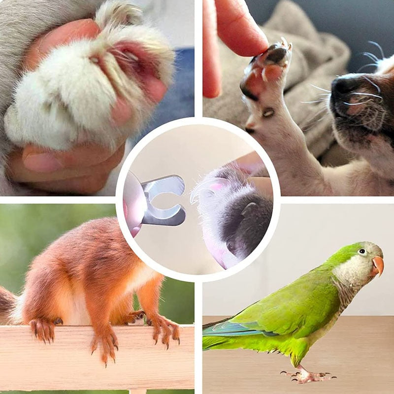 LED Hond Nagel Clipper - Ervaar kwaliteit als in de salon - WOEF