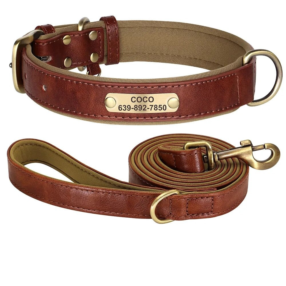 PETZZ Personal Halsband en Lijn Set - Stijlvol Wandelen met Uw Hond