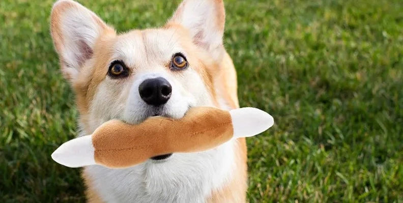 PETZZ Zachte Knuffels Pakketten - Honden Speeltjes voor Veel Plezier