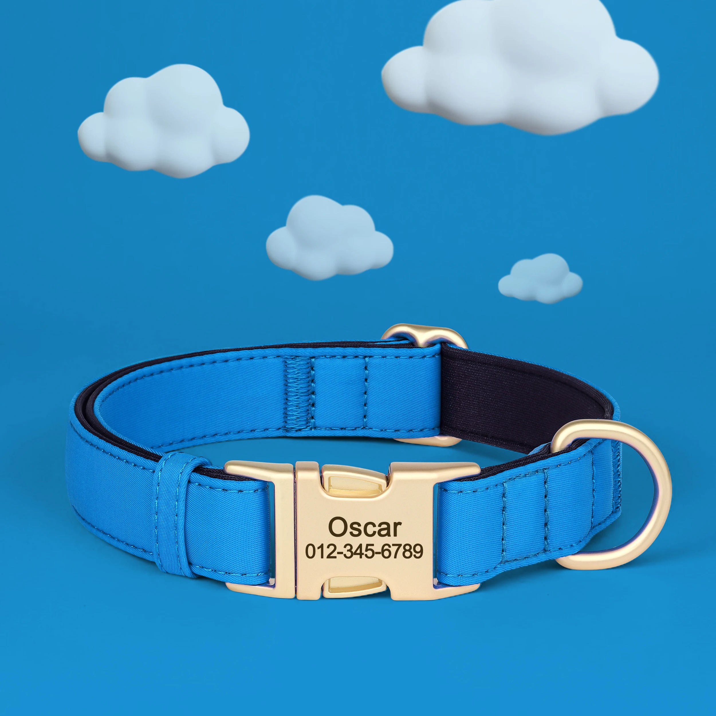 Halsband hond met naam gemaakt van duurzaam waterdicht nylon