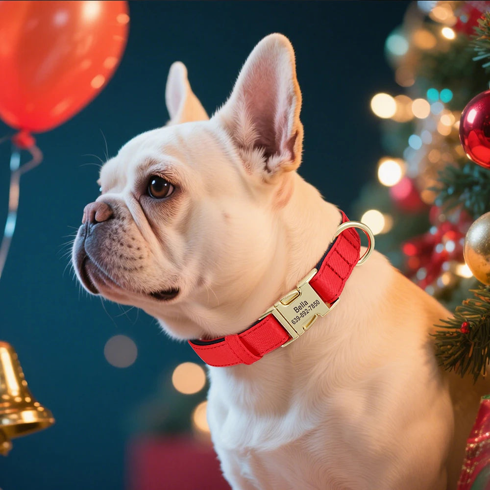 PETZZ™ Blueberry gepersonaliseerde hondenhalsband met naam en telefoonnummer