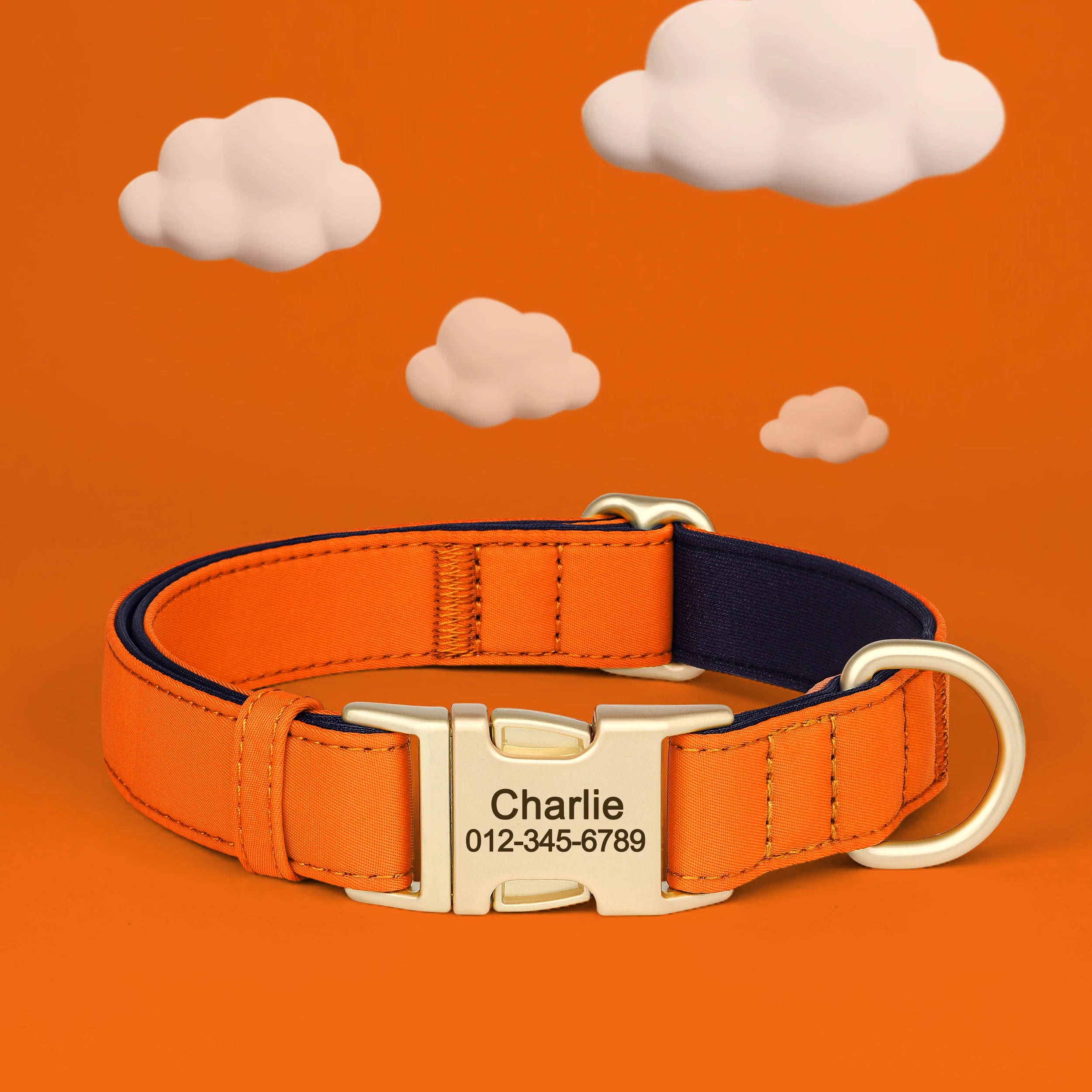 Comfortabele halsband met naam en telefoonnummer voor uw hond