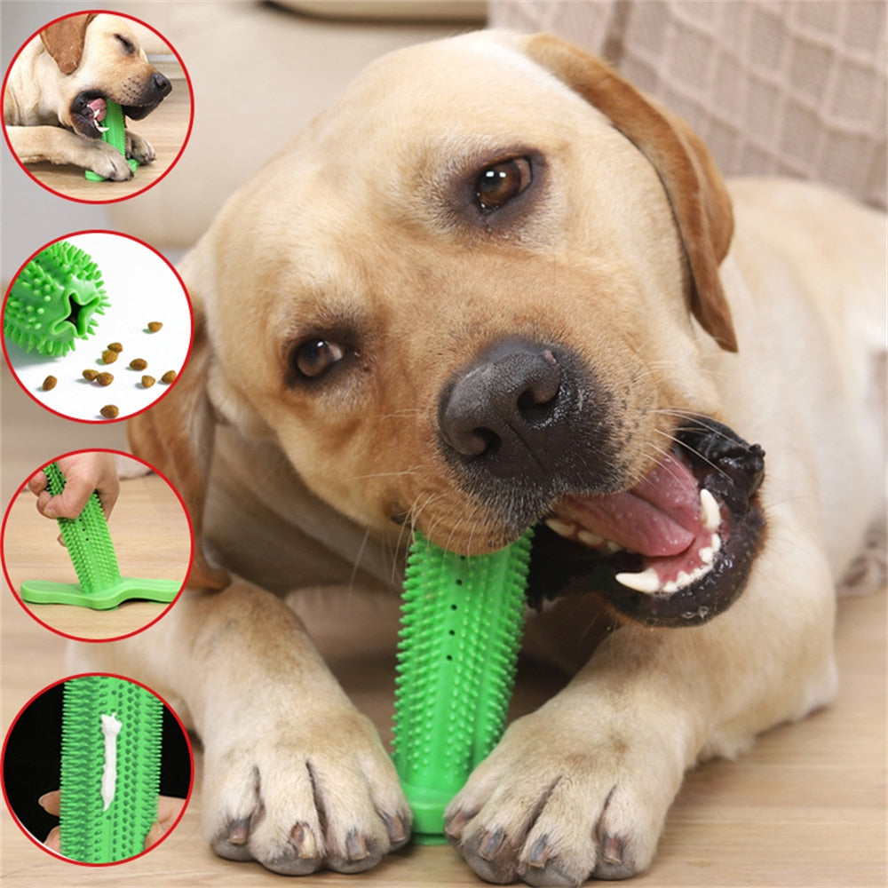 PETZZ™ Gebitsreiniging Stick