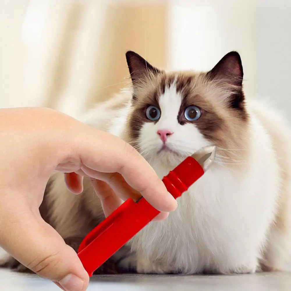 PETZZ Basics Tekentang - Eerste Hulp bij Honden - Hondenhoek.com