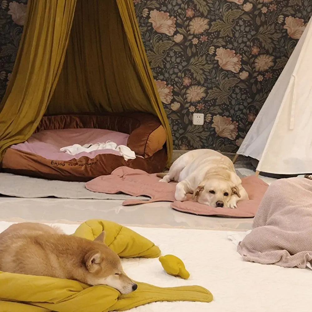 Hond rust op PETZZ™ koelmat in esdoornbladvorm