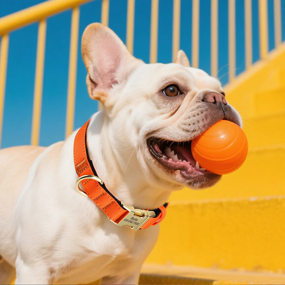 Gepersonaliseerde halsband voor hond met comfortabele brede pasvorm