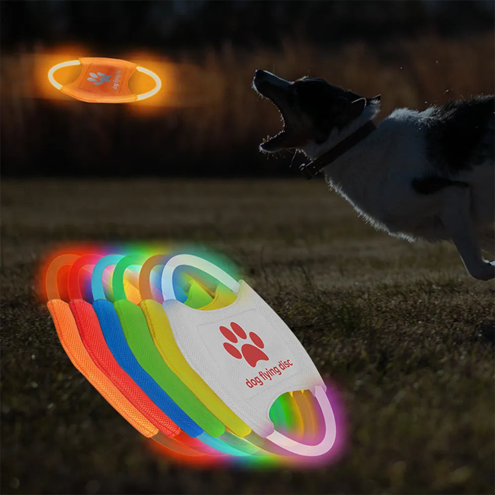 Nachtelijk Plezier: LumiPaws Lichtgevende Frisbee - USB-Oplaadbaar