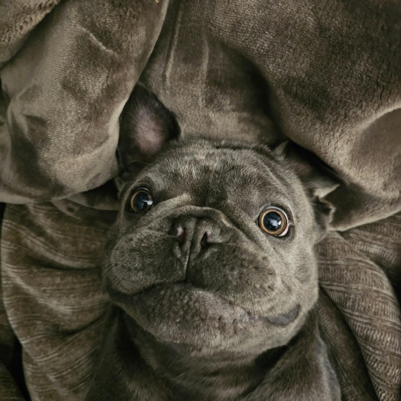 Baasje en hond knuffelen op de bank met cozy hondendeken van Hondenhoek.com