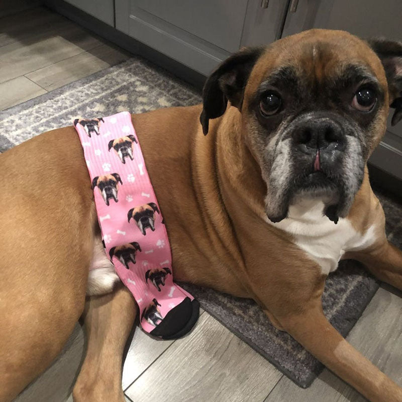 Gepersonaliseerde Sokken - Sokjes met foto van Hond - Online Winkelen