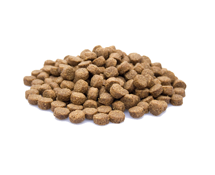 Adult Plus Hondenvoer - De beste brokken voor honden - WOEF Boetiek