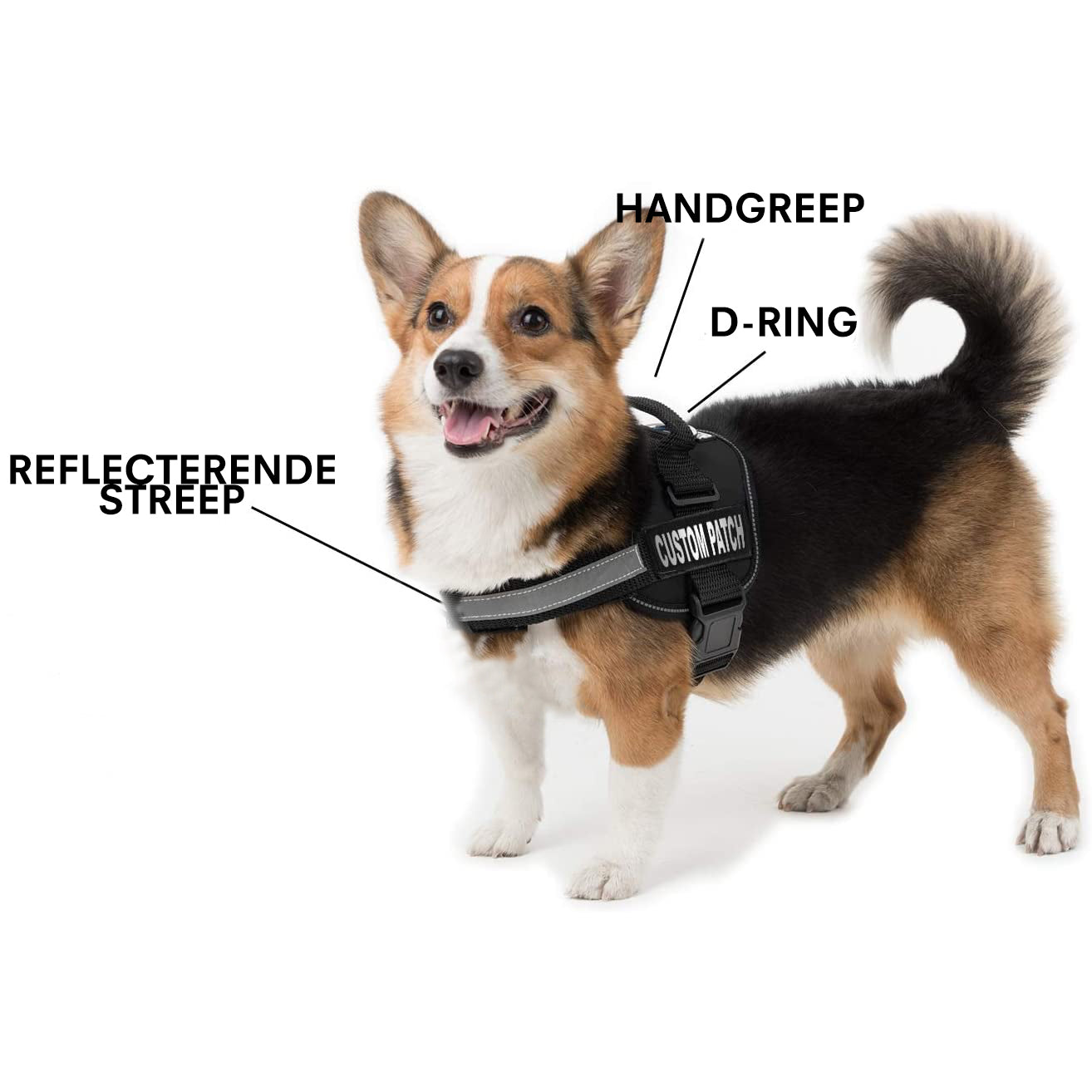 Gepersonaliseerde 1-Klik Harnas | Harnassen en Lijnen voor Honden