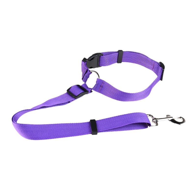 PETZZ Premium Autogordel - Veilig reizen met uw hond - Hondenhoek