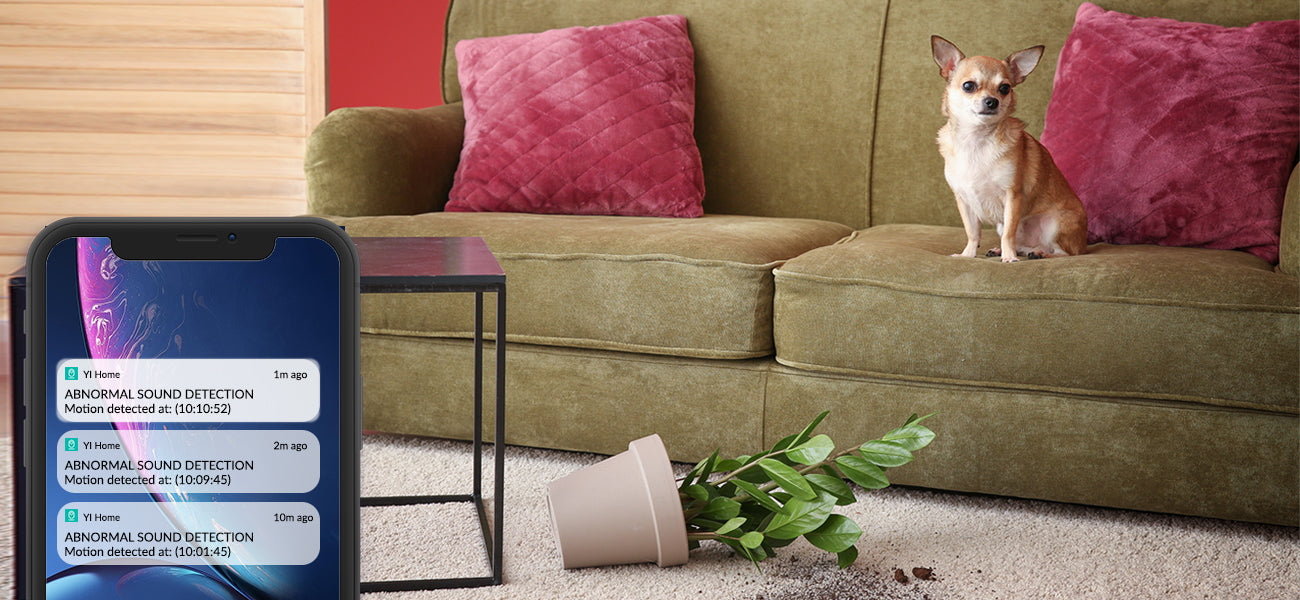 Smart Home Camera - Veilig Thuis - Online Hondenhoek Winkel