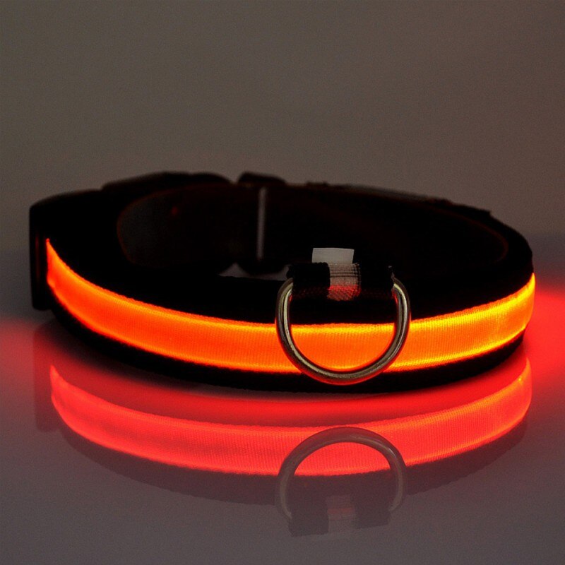 PETZZ™ Glow In The Dark Halsband