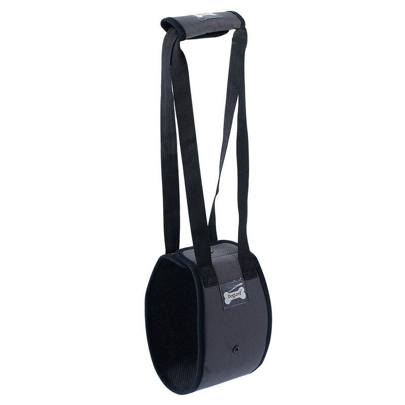 PETZZ™ Ondersteunende buikband