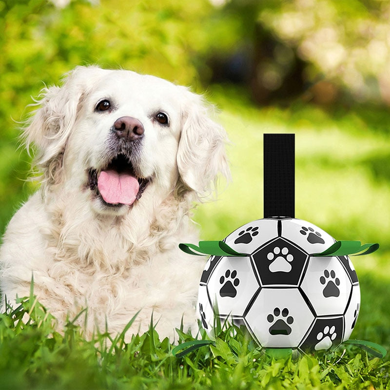 PETZZ Honden Voetbal - Bijtbestendige Bal - Hondenhoek