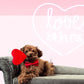 Hondenstrik - Mooie accessoires en kleding voor honden - Hondenhoek Valentijnsdag Valentijn