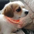PETZZ™ Glow In The Dark Luipaard Halsband