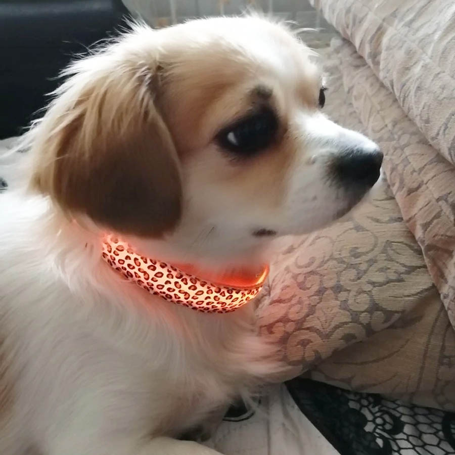 PETZZ™ Glow In The Dark Luipaard Halsband