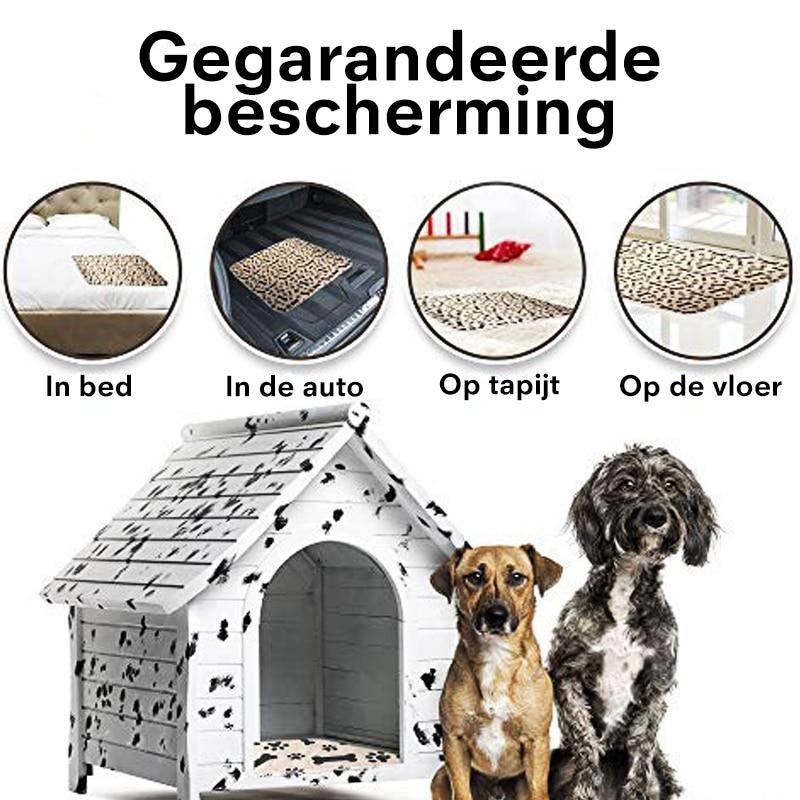 Petzz Potty Training Mat - Voorkom Plasjes in Huis - Absorberend