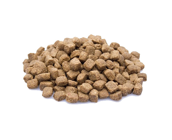 Premium Lamb & Rice - Heerlijke Hondenbrokken - WOEF Boetiek