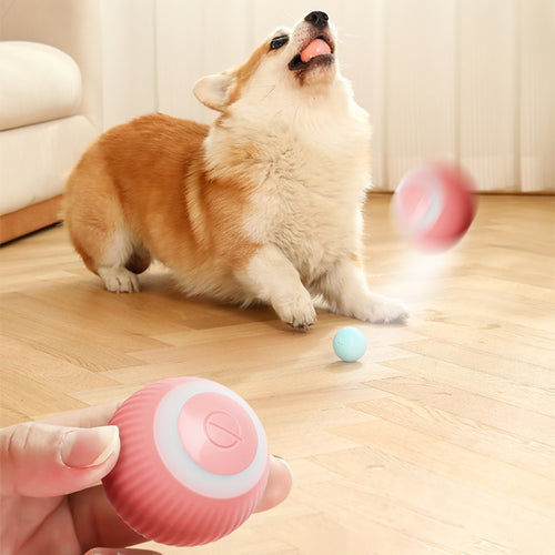 PETZZ Automatische Speelbal - Speelgoed voor Honden - Honenhoek.com