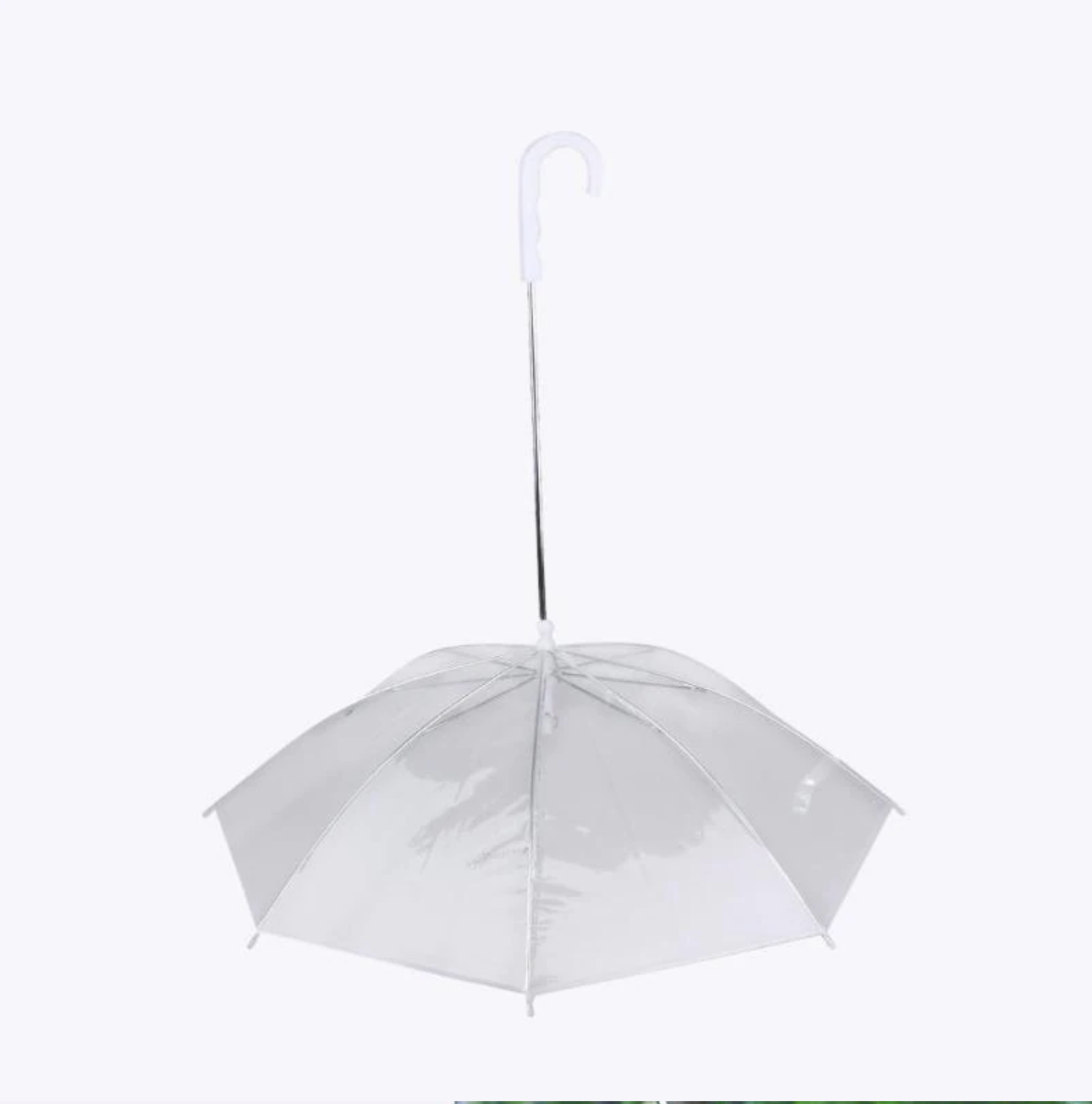 Transparante Honden Paraplu - Blijf Droog Met Uw Hond - WOEF Boetiek