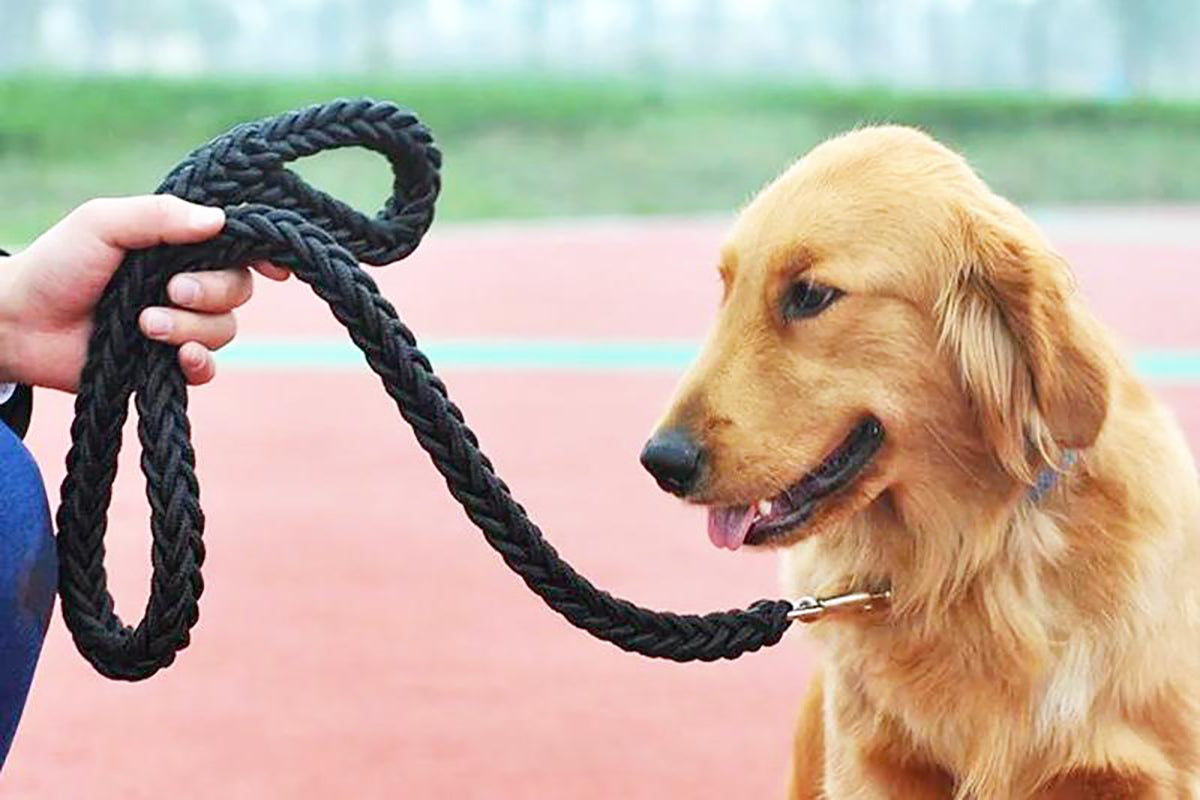 Super Sterke Hondenriem - Voor hard trekkende honden - Grote hond