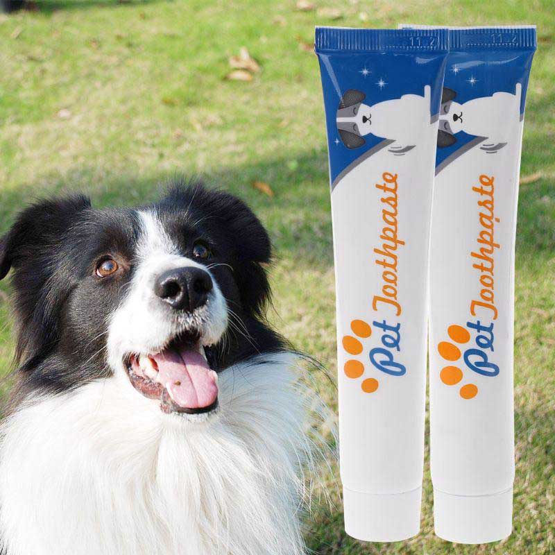 Tandpasta voor Honden - De Beste Hygiëne & Verzorging - WOEF Boetiek