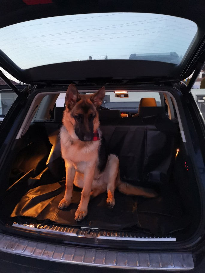 Achterbank Beschermer - Voorkom hondenharen in de auto - WOEF Boetiek