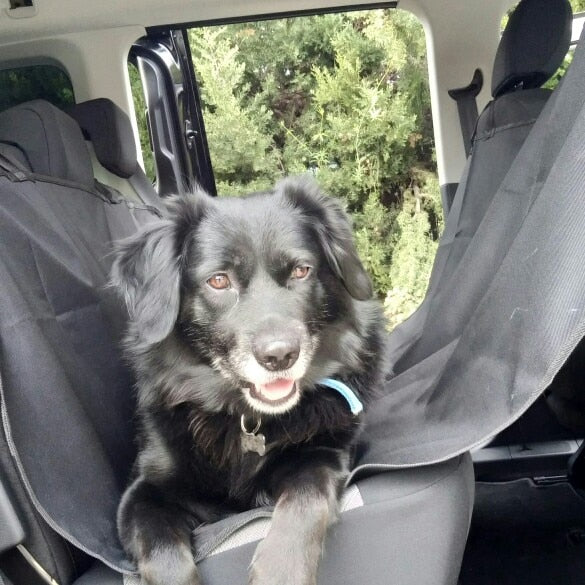 Achterbank Beschermer - Voorkom hondenharen in de auto - WOEF Boetiek