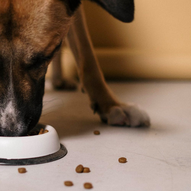 Graanvrij - Super Premium Puppy Kip & Aardappel - Hondenhoek