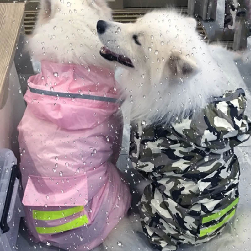 Luxe Regenjas voor Grotere Honden - Droog Over Straat - Hondenhoek