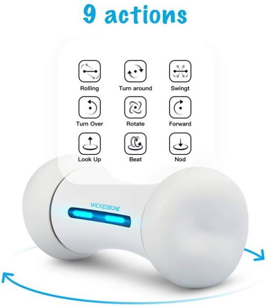 Wickedbone™ Interactieve Bot