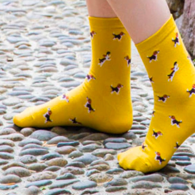 Doggo Beagle Sokken - Sokken voor Mensen - Hondenhoek Online Winkel