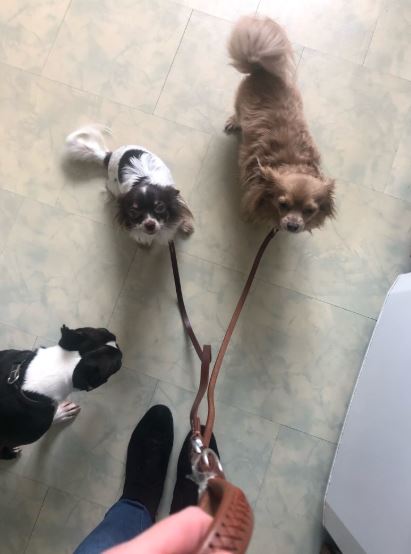 100% Lederen Duo Leiband